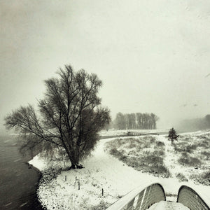 Beequeen – Winter