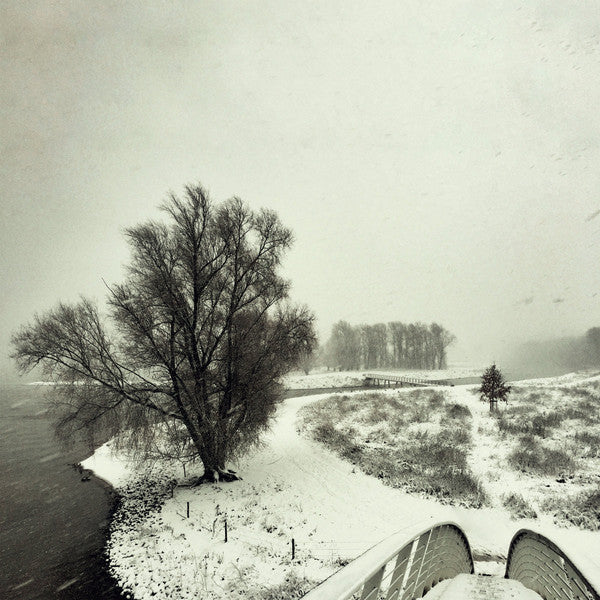 Beequeen – Winter