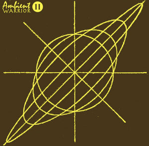 Ambient Warrior – II