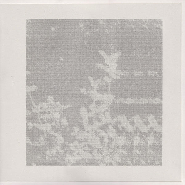 Glen Rey. – Of That Which We Cannot Speak