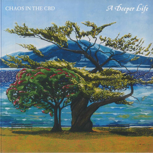 Chaos In The Cbd – A Deeper Life