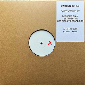 Darryn Jones – In The Bush / Now I Know