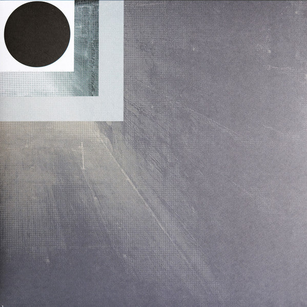 Conna Haraway – Shifted