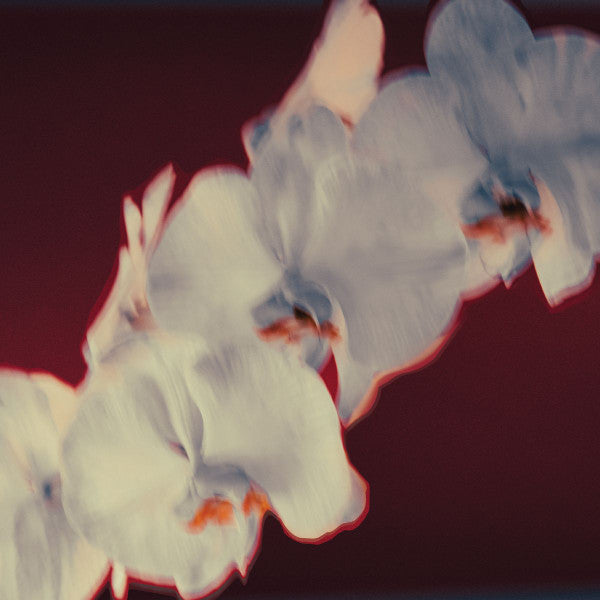 Kat Rose, Mikekon, Osunlade, CoFlo, Ritmiq – I See You