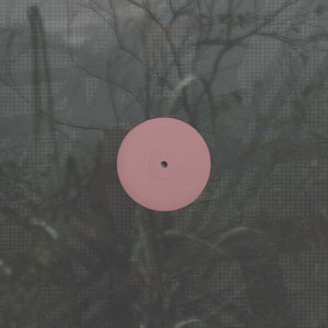 Alien D - For the Early Hours of a World in Bloom