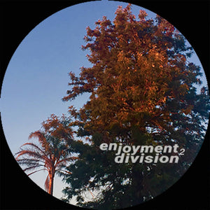 Dawn Again - Enjoyment Division